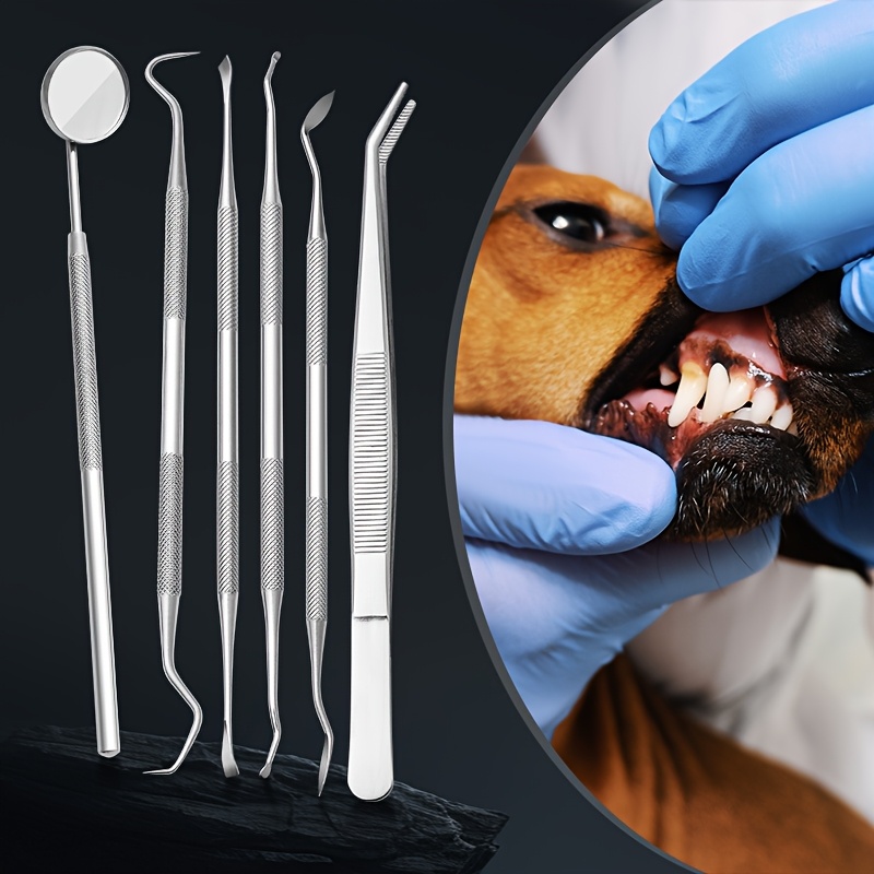 6pcs Soundwave Tartar Remover  - Teeth Whitening Mouthwash recension och pris