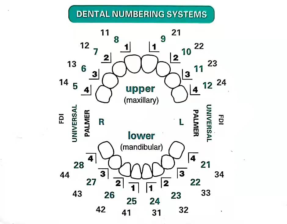32 Pcs Dental Veneer Mold Set  - Teeth Whitening Moulds recension och pris