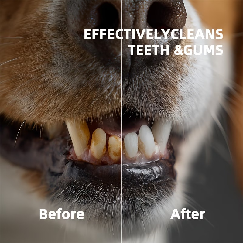 Pet Oral Freshening Spray, Pet - Teeth Whitening Mouthwash recension och pris